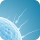 Male Fertility